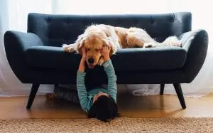 Golden retriever a kanapén egy kisgyerekkel játszik.