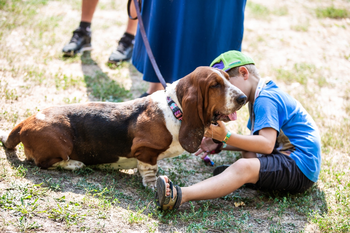 Basset hound kisgyerekkel