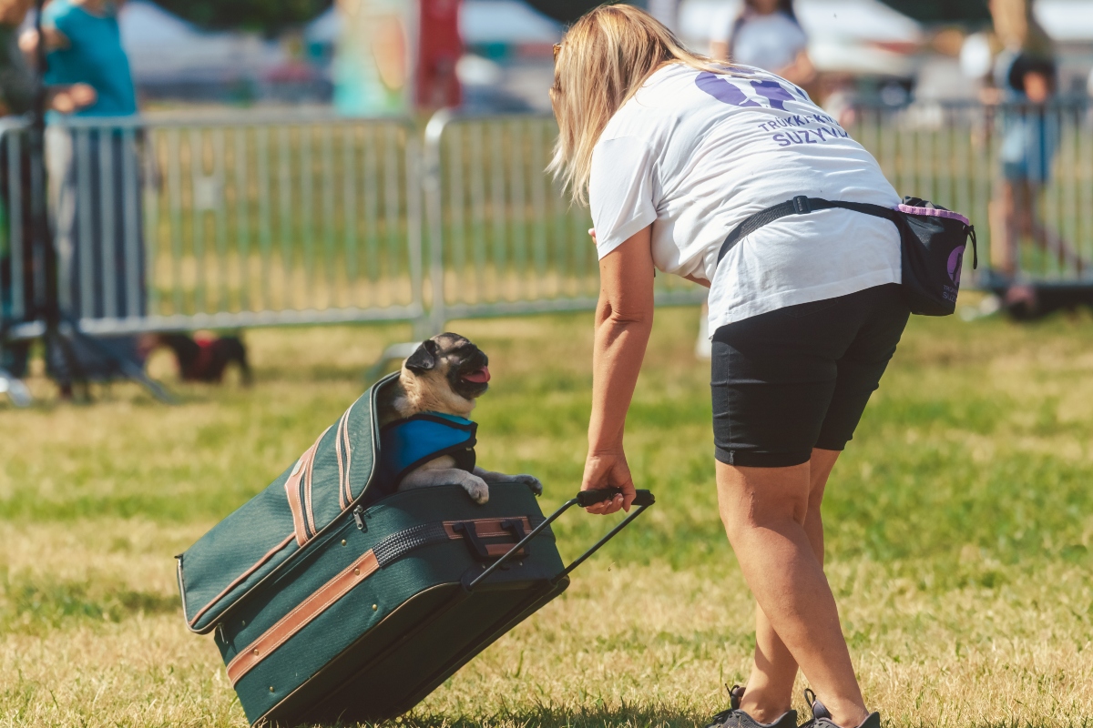 DOGZ Fesztivál és Konferencia 2024 Trükksikola Suzyval előadás