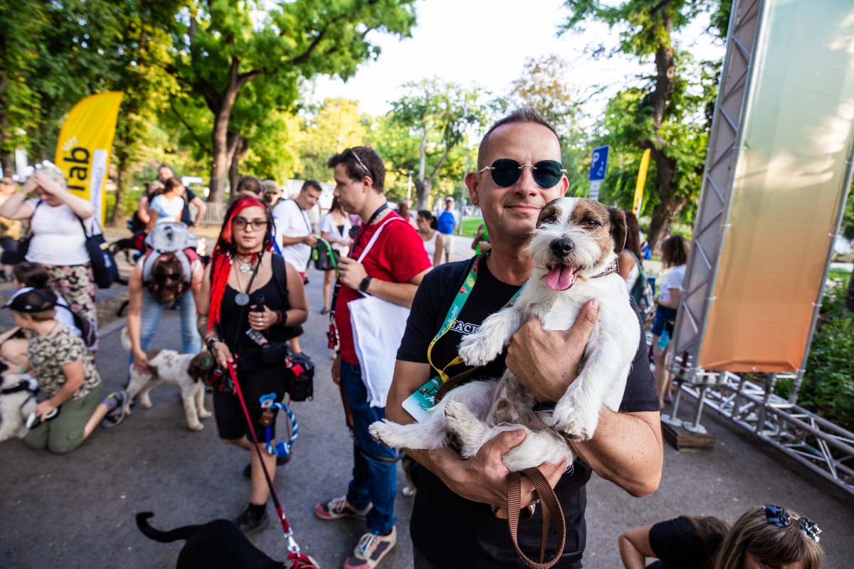 közös falkaséta a dogz fesztiválon