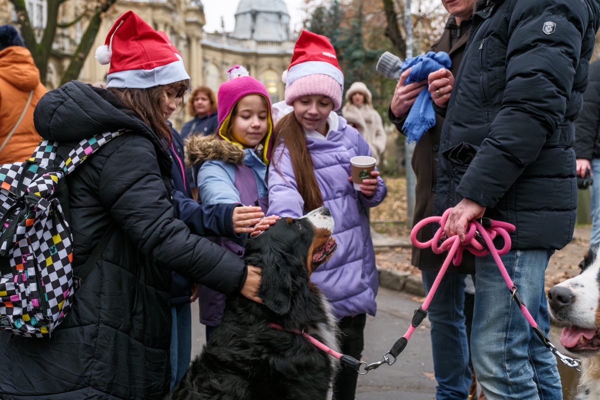 DOGZ Mikulás Falkaséta