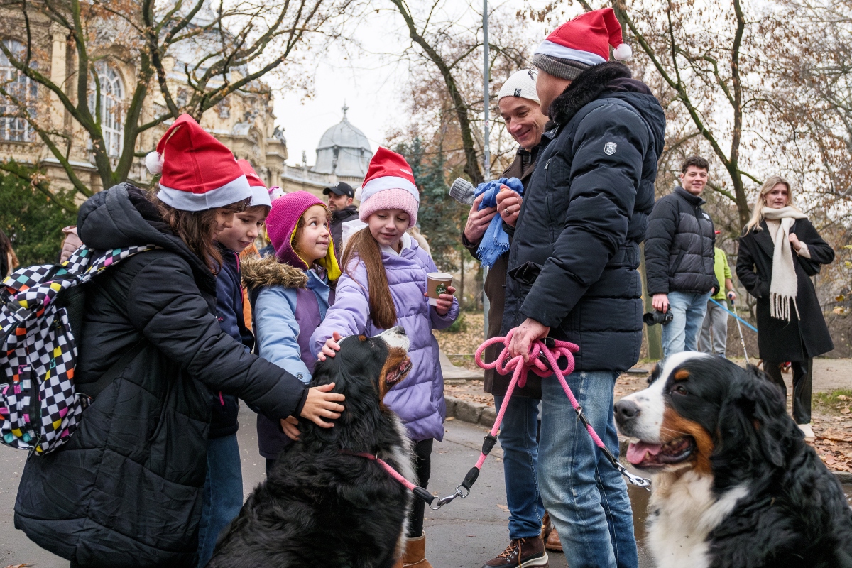 DOGZ Mikulás Falkaséta