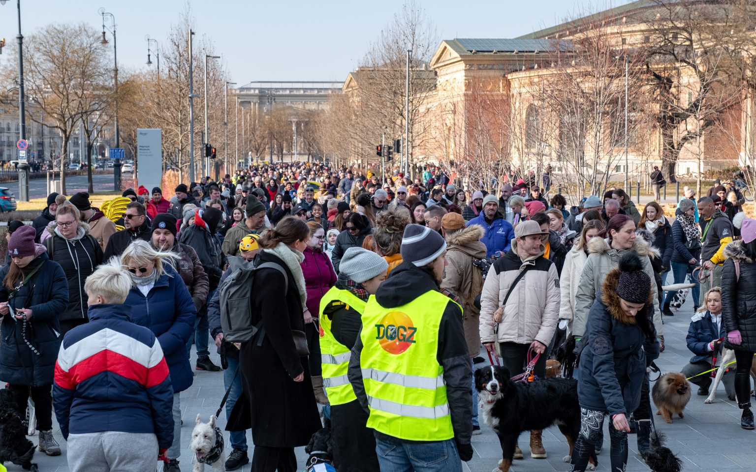 DOGZ Farsangi Falkaséta