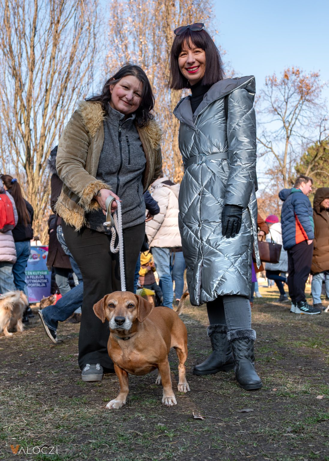 DOGZ Farsangi Falkaséta