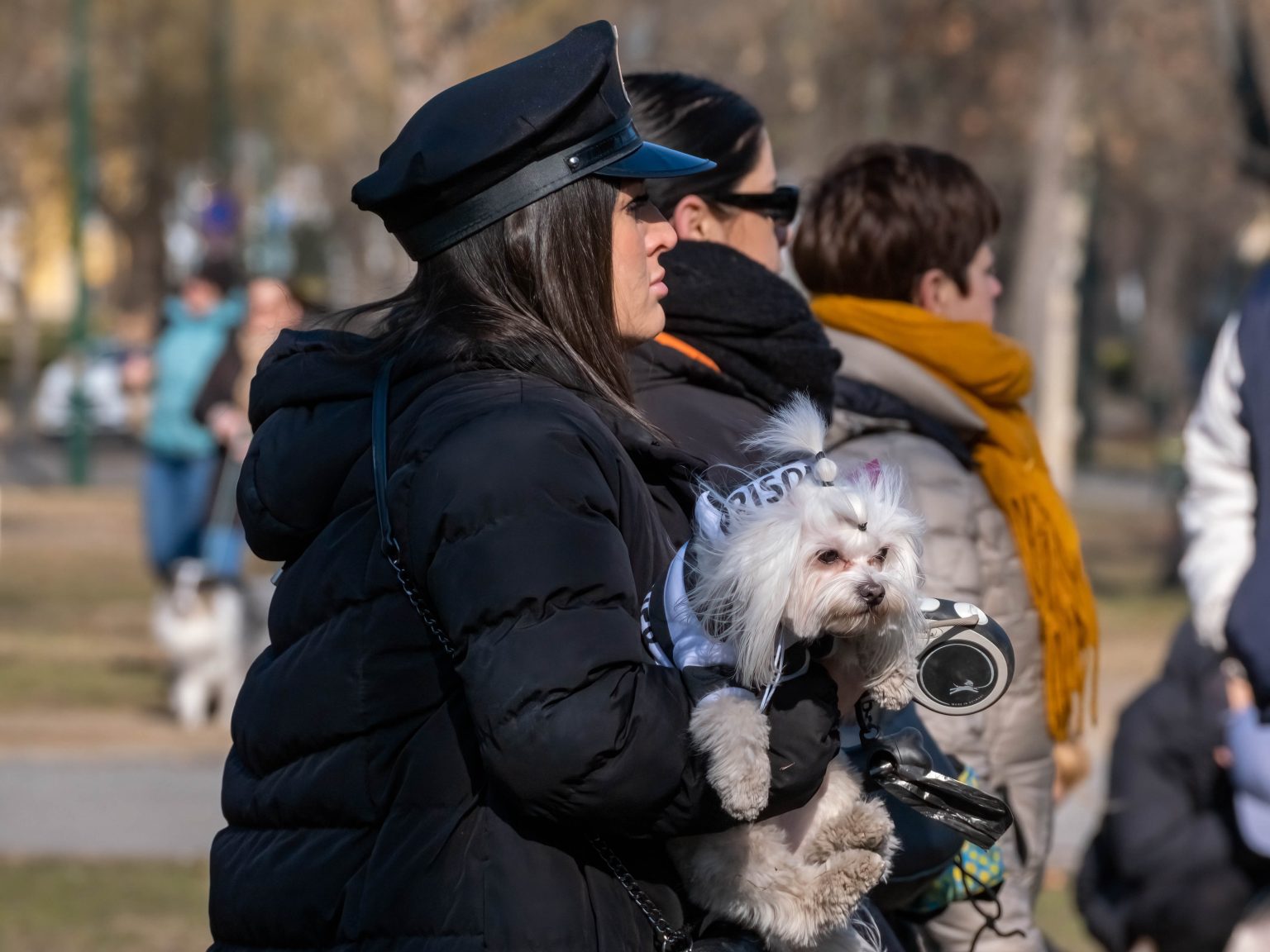 DOGZ Farsangi Falkaséta