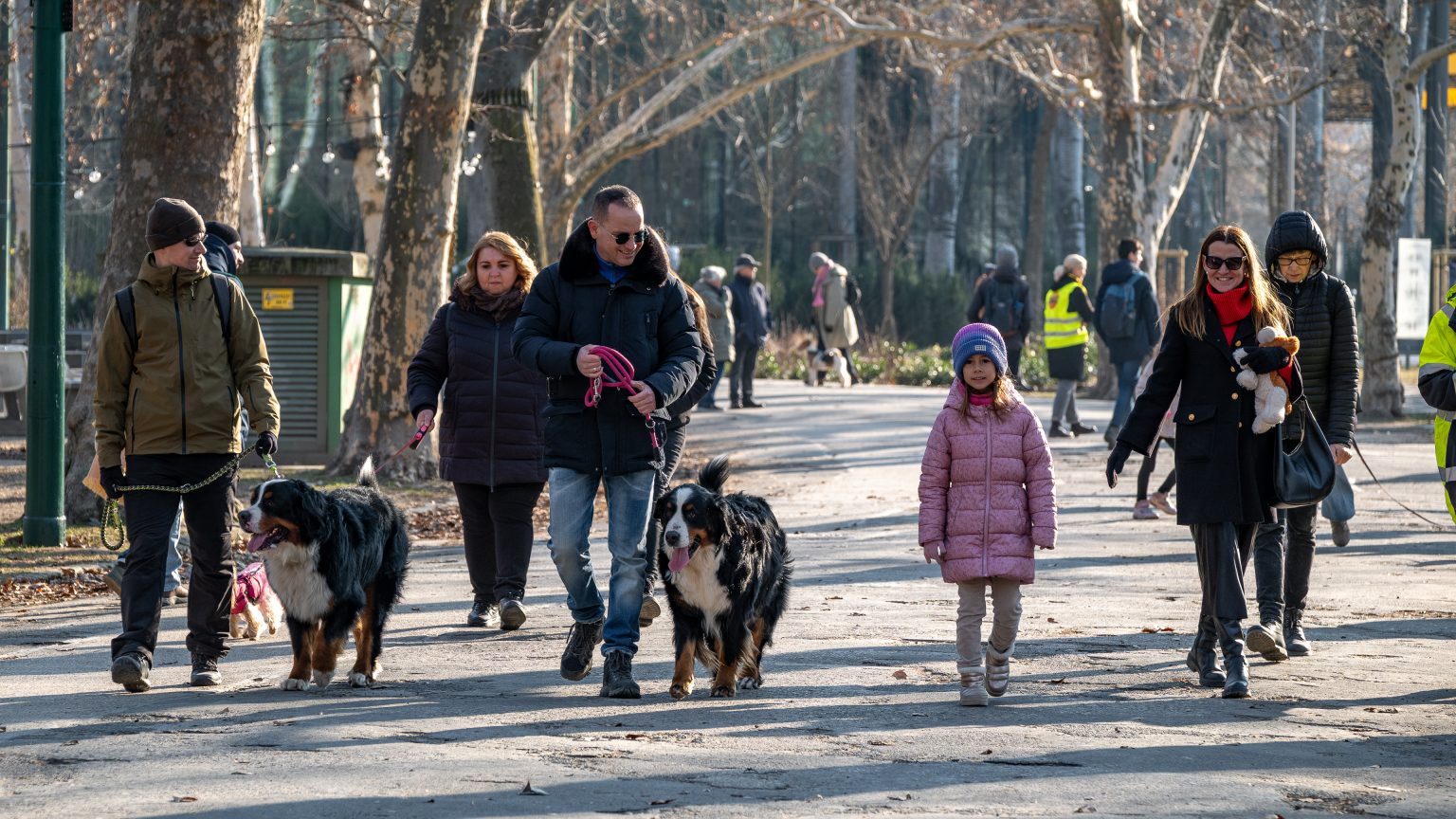 DOGZ Farsangi Falkaséta