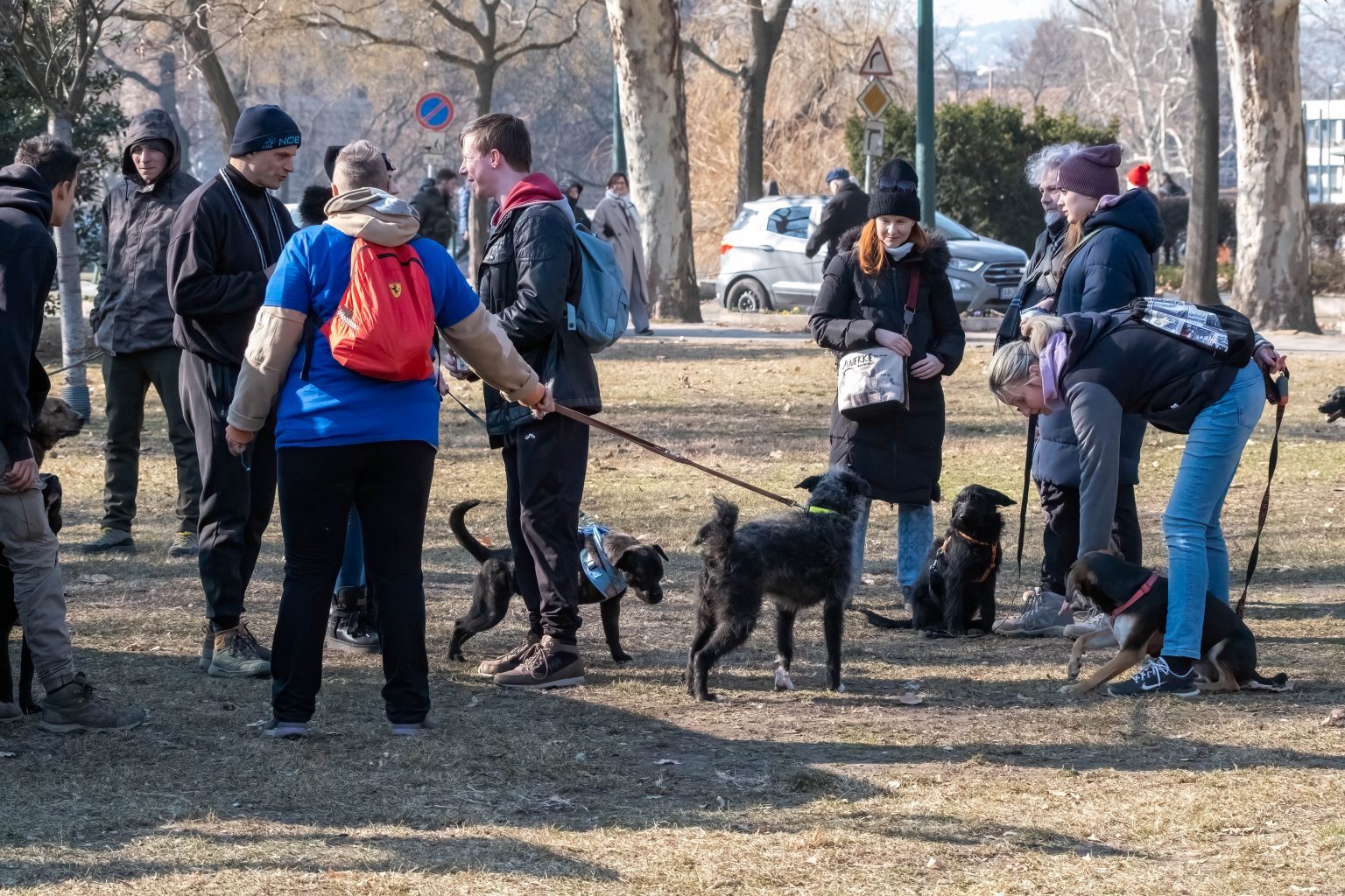 DOGZ Farsangi Falkaséta